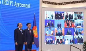 RCEP mở ra cơ hội xuất khẩu cho các công ty Séc