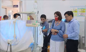 Đại sứ Tredene Dobson: Các dự án y tế, nông nghiệp của New Zealand tại Bình Định phát huy hiệu quả
