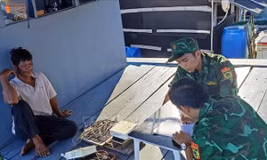 Cà Mau nỗ lực chống khai thác thủy sản trái phép