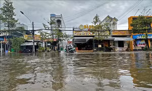 Ngày 14/3, kết thúc đợt triều cường ở vùng ven biển phía Đông Nam Bộ