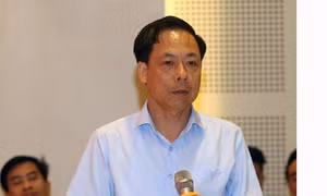 Thẩm tra, thảo luận báo cáo về công tác phòng, chống tham nhũng năm 2019