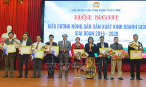 Thừa Thiên - Huế tuyên dương 150 điển hình nông dân sản xuất kinh doanh giỏi