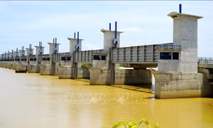 Dự án đập dâng hạ lưu sông Trà Khúc sẽ 'cán đích' vào cuối năm 2025
