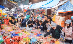 Hà Nội nhộn nhịp mua sắm ngày cận Tết