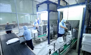 Đẩy mạnh xúc tiến xuất khẩu gạo sang các thị trường tiềm năng