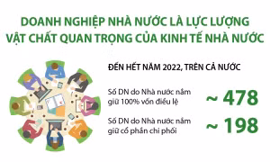 Sửa đổi tiêu chí phân loại doanh nghiệp nhà nước thực hiện sắp xếp lại giai đoạn 2021 - 2025