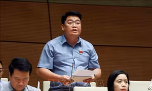 Thảo luận dự kiến Chương trình giám sát của Quốc hội năm 2024