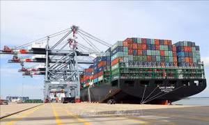 Bộ Giao thông Vận tải đề nghị gỡ quy định cách ly y tế 2 lần đối với thuyền viên