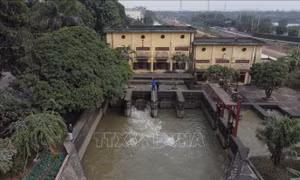 Ứng phó bão số 1: Hải Dương tiêu thoát nước sớm, chủ động phòng úng khi mưa lớn 