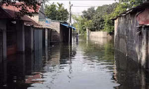 Chủ động phòng ngừa, ứng phó với nguy cơ lũ rừng ngang