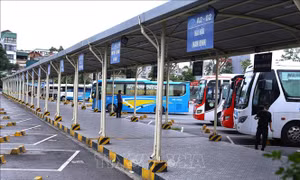 Tổng cục Đường bộ Việt Nam yêu cầu kiểm soát chặt giá vận tải dịp Tết