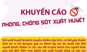 Khuyến cáo phòng, chống sốt xuất huyết