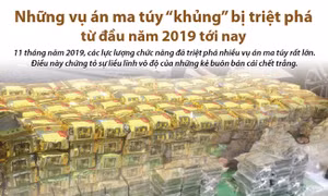 Những vụ án ma túy 'khủng' bị triệt phá từ đầu năm 2019 tới nay