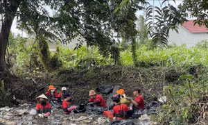 Đội công nhân xanh