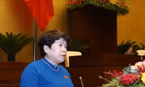 Kiểm soát chặt chẽ hoạt động hợp pháp liên quan đến ma túy