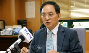 Ngôn ngữ và văn hóa đóng vai trò kết nối sâu sắc giữa Việt Nam và Hàn Quốc