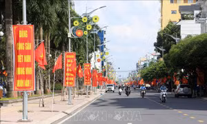 Tết Nhâm Dần: Tổ chức đón Xuân vui và an toàn 