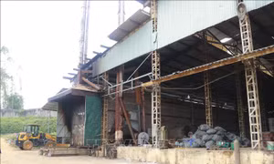 Hàng trăm hộ dân bức xúc vì lò đốt than gây ô nhiễm