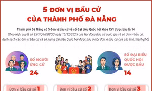5 đơn vị bầu cử của thành phố Đà Nẵng