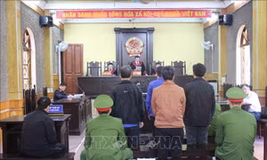 Vụ án gian lận thi cử tại Sơn La: Y án sơ thẩm đối với các bị cáo
