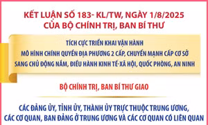 Kết luận số 183- KL/TW: Nhiệm vụ của đảng ủy, tỉnh ủy, thành ủy trực thuộc Trung ương, các cơ quan, ban đảng ở Trung ương và các cơ quan có liên quan