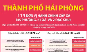 Thông tin chi tiết sắp xếp các đơn vị hành chính cấp xã của thành phố Hải Phòng