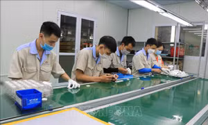 Bắc Ninh: Thu dung, điều trị người mắc COVID-19 không triệu chứng tại các doanh nghiệp