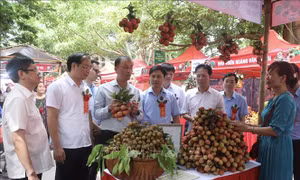 Khai mạc phiên chợ vải Hưng Yên 