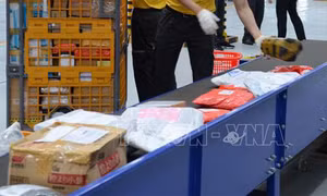 Phổ biến các quy định xử phạt vi phạm hành chính mới trong lĩnh vực bưu chính