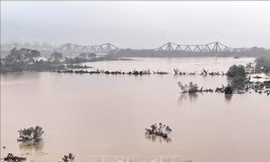 Sau ngày 12/9, tình hình mưa có dấu hiệu giảm