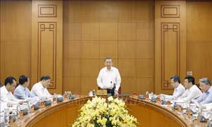 Tổng Bí thư, Chủ tịch nước Tô Lâm chủ trì buổi làm việc với Đảng uỷ Chính phủ