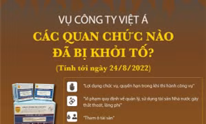 Vụ Công ty Việt Á: Các quan chức nào đã bị khởi tố? (Bài 2)