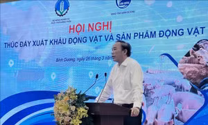 Thúc đẩy xuất khẩu động vật và sản phẩm động vật