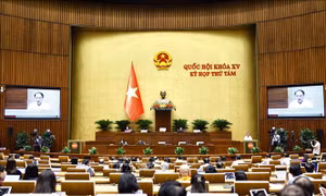 Tuần làm việc thứ 3, Kỳ họp thứ 8, Quốc hội khóa XV