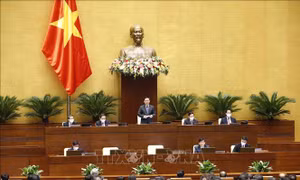 Thông cáo báo chí số 14, Kỳ họp thứ 2, Quốc hội khóa XV