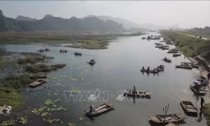 Nâng cao công tác quản lý vùng đất ngập nước