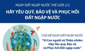 Ngày Đất ngập nước Thế giới 2/2: Hãy yêu quý, bảo vệ và phục hồi đất ngập nước