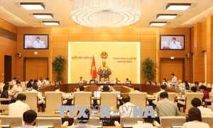 Cần ưu tiên nguồn vốn ODA để hỗ trợ giảm nghèo bền vững, các lĩnh vực xã hội