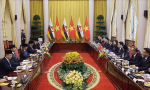 Chủ tịch nước Lương Cường hội đàm với Quốc vương Brunei