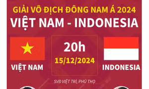 Giải vô địch Đông Nam Á: Thông tin trước trận đấu Việt Nam - Indonesia