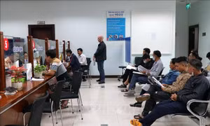 Công điện của Thủ tướng Chính phủ về cắt giảm thủ tục hành chính, cải thiện môi trường kinh doanh