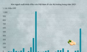 Các thị trường xuất khẩu chính của điều Việt Nam