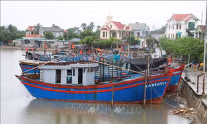 Các địa phương ven biển Nghệ An chủ động ứng phó với bão số 9
