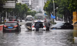 Bão Wipha đổ bộ Trung Quốc 
