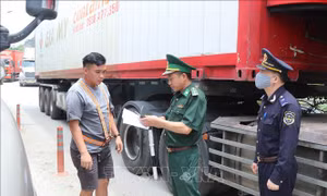Giải quyết nhanh thủ tục thông quan xuất khẩu nông sản