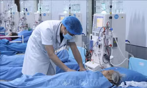 BHXH Việt Nam chỉ đạo bảo đảm quyền lợi BHYT cho người dân vùng bão lũ