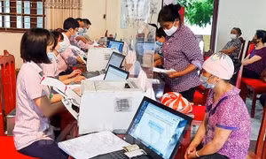 Nguồn vốn vay ưu đãi giúp phụ nữ nông thôn Hải Dương giảm nghèo