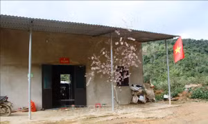 Xuân ấm trong những ngôi nhà đại đoàn kết