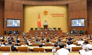 Kỳ họp thứ 8 Quốc hội khóa XIV: Thông cáo báo chí số 17