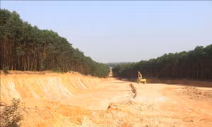 Quảng Trị yêu cầu khắc phục hậu quả việc đào lấy đất rừng trái phép quy mô lớn